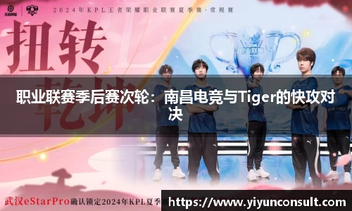 职业联赛季后赛次轮：南昌电竞与Tiger的快攻对决